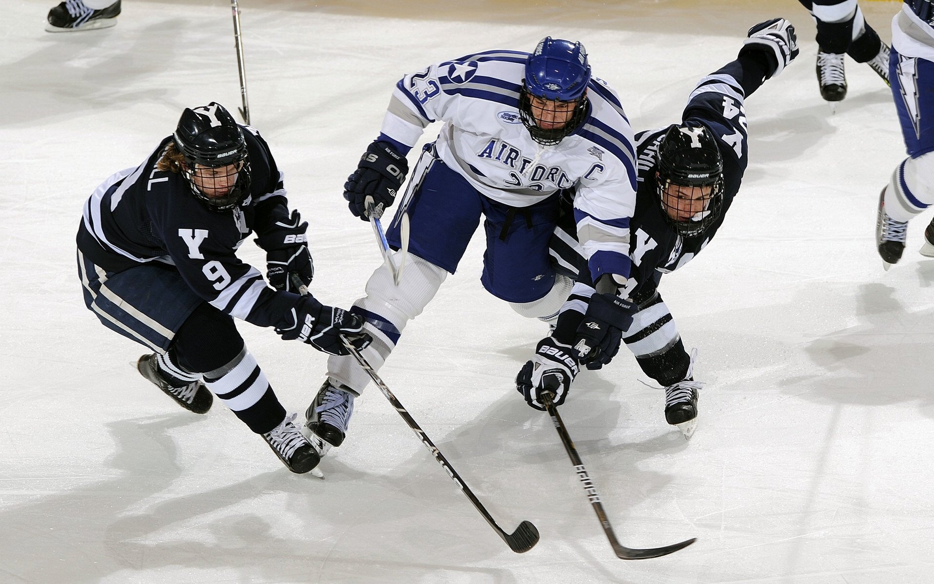 穆雷赛事官方发布败北新规，TL争议不断！